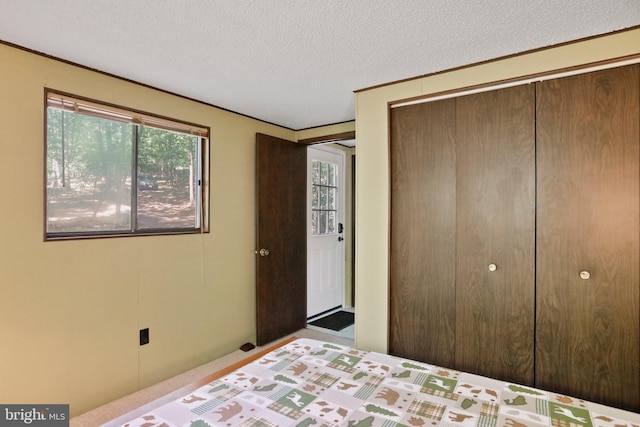 carpeted bedroom with a textured ceiling, multiple windows, and a closet