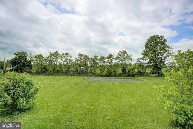 view of green lawn