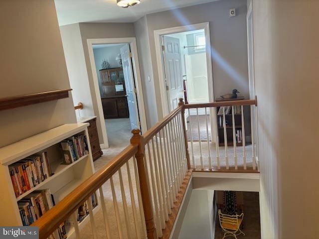 113 Rainbow Trl, Egg Harbor Township, NJ 08234