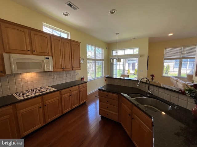 35 Galileo Dr, Cranbury, NJ 08512 - kitchen featuring a wealth of natural light, dark wood-style flooring, a sink, and white microwave