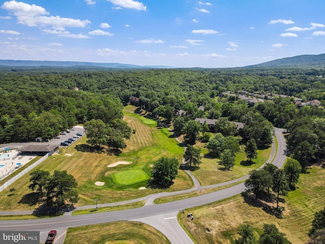 bird's eye view with a view of trees