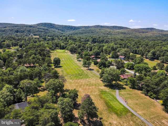 birds eye view of property with a mountain view and a view of trees