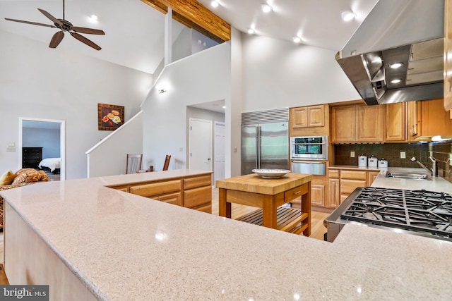 kitchen featuring a sink, appliances with stainless steel finishes, a ceiling fan, range hood, and high vaulted ceiling