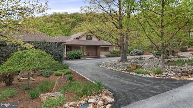 view of front of home featuring driveway, covered porch, and a shingled roof