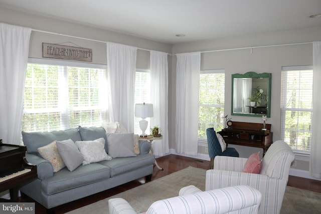 living room with wood finished floors