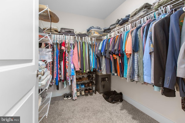 walk in closet with carpet floors