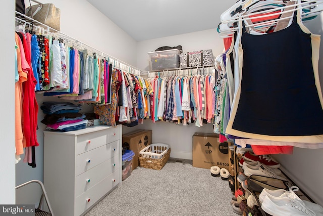 walk in closet with carpet