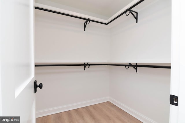 816 Garfield Pkwy, Bethany Beach, DE 19930 - spacious closet with light wood finished floors