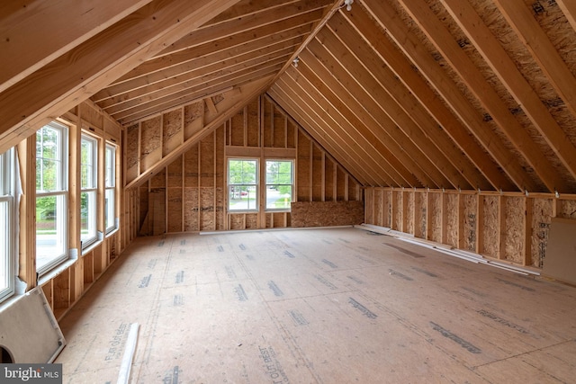 816 Garfield Pkwy, Bethany Beach, DE 19930 - view of unfinished attic