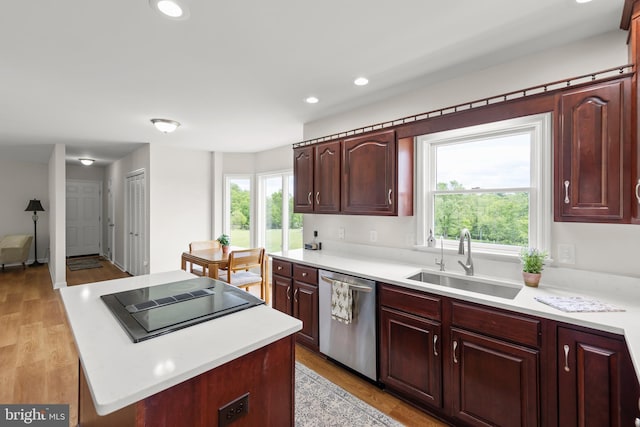442 Frog Hollow Rd, Winchester, VA 22603 - kitchen with dishwasher, a sink, black electric cooktop, healthy amount of natural light, and recessed lighting