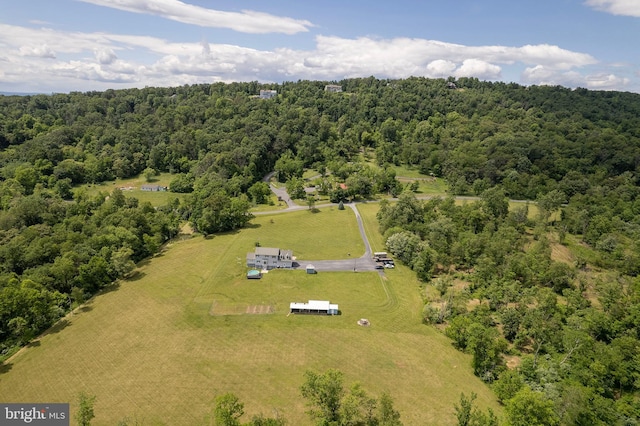 442 Frog Hollow Rd, Winchester, VA 22603 - bird's eye view of a forest