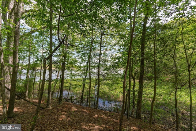 200 Hoffman Ln, Chestertown, MD 21620 - property view of water featuring a wooded view