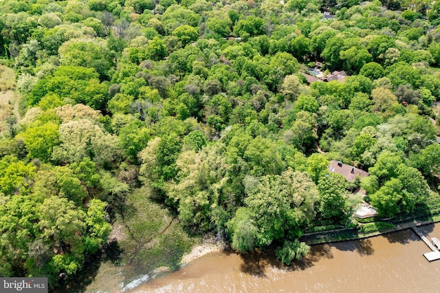 200 Hoffman Ln, Chestertown, MD 21620 - bird's eye view featuring a water view and a view of trees