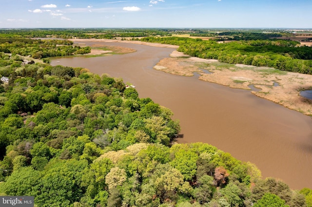 200 Hoffman Ln, Chestertown, MD 21620 - bird's eye view with a water view and a forest view