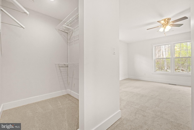 spacious closet with a ceiling fan, visible vents, and carpet floors