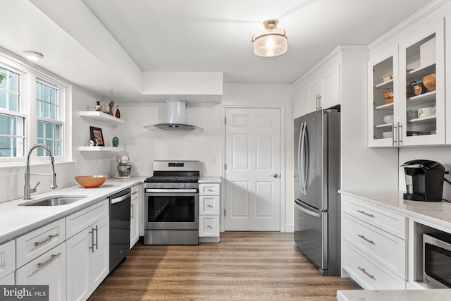 kitchen with stainless steel appliances, a sink, wall chimney exhaust hood, glass insert cabinets, and white cabinetry