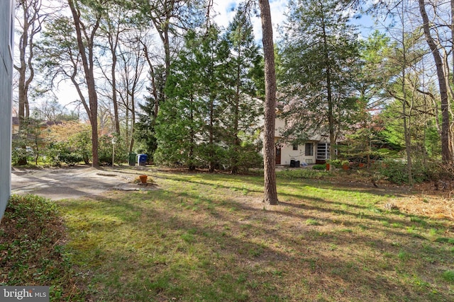 view of yard