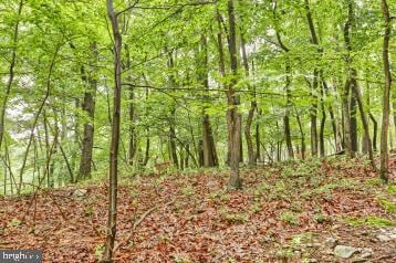 20 Tower Rd, Dillsburg, PA 17019 - view of wooded area