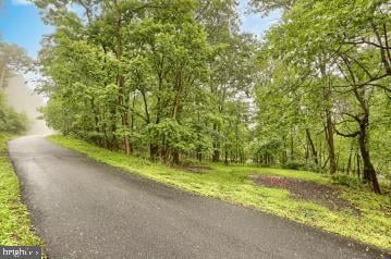 20 Tower Rd, Dillsburg, PA 17019 - view of road