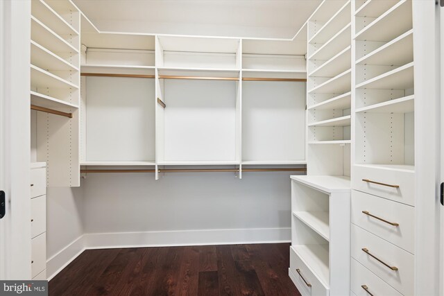 141 W St Unit 304, Annapolis, MD 21401 - walk in closet with dark wood-style floors