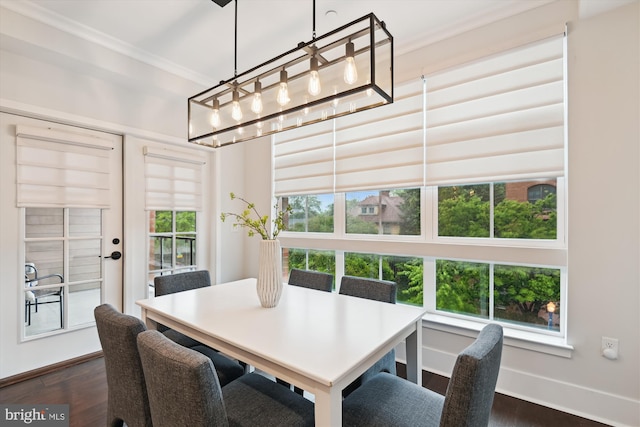 141 W St Unit 304, Annapolis, MD 21401 - dining room with ornamental molding, a chandelier, dark wood-style floors, and baseboards