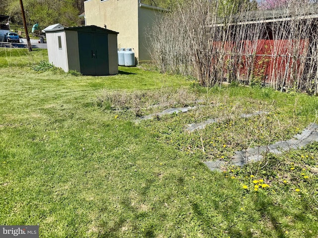 view of yard featuring an outbuilding and a storage shed