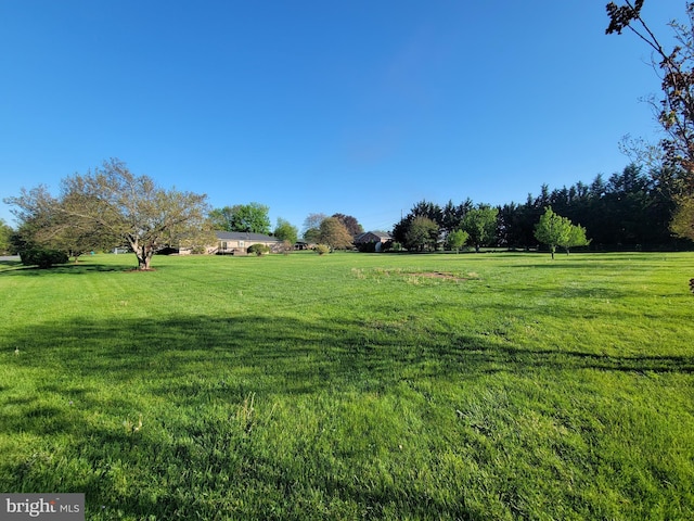 7198 Allegheny Dr, Frederick, MD 21702 - view of yard featuring a rural view