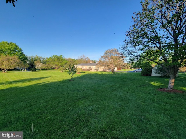 7198 Allegheny Dr, Frederick, MD 21702 - view of yard