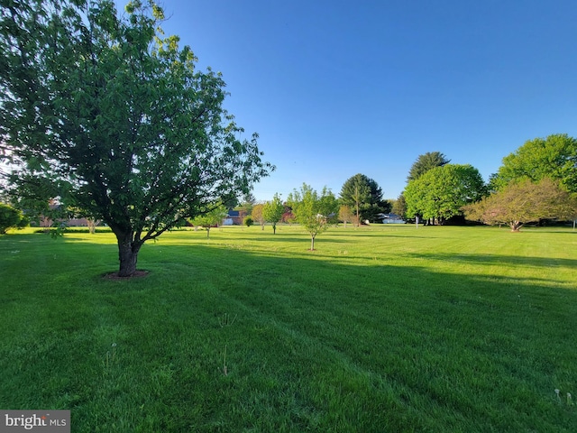 7198 Allegheny Dr, Frederick, MD 21702 - view of property's community featuring a lawn