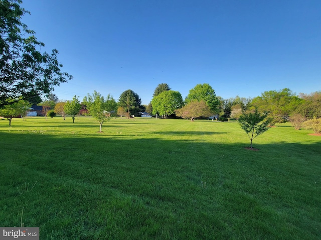7198 Allegheny Dr, Frederick, MD 21702 - view of community featuring a yard