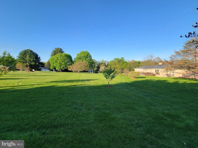 7198 Allegheny Dr, Frederick, MD 21702 - view of yard