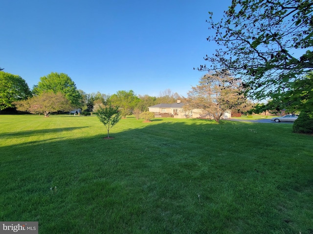7198 Allegheny Dr, Frederick, MD 21702 - view of yard
