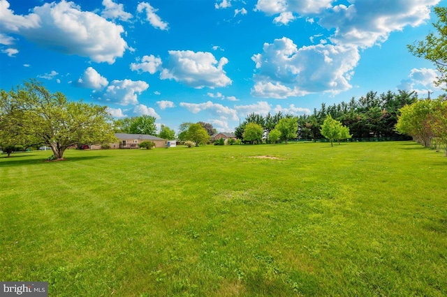 7198 Allegheny Dr, Frederick, MD 21702 - view of yard