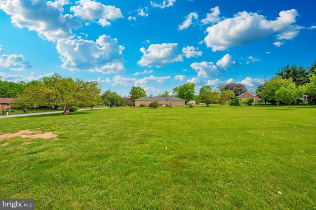 7198 Allegheny Dr, Frederick, MD 21702 - view of yard