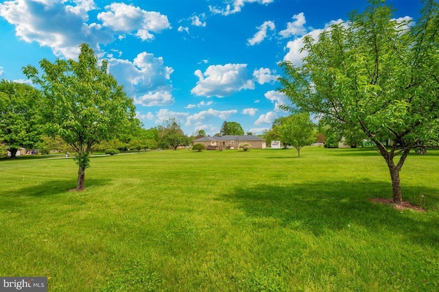 7198 Allegheny Dr, Frederick, MD 21702 - view of yard
