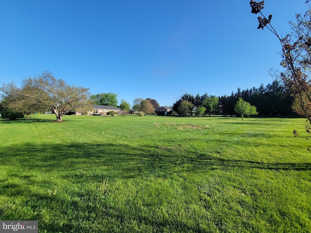 7198 Allegheny Dr, Frederick, MD 21702 - view of yard with a rural view
