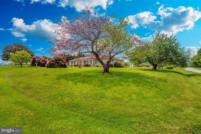 7198 Allegheny Dr, Frederick, MD 21702 - view of yard
