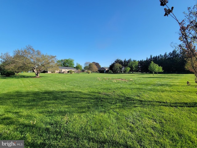 7198 Allegheny Dr, Frederick, MD 21702 - view of yard with a rural view