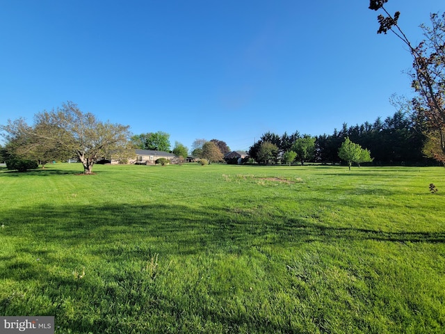 7198 Allegheny Dr, Frederick, MD 21702 - view of yard with a rural view