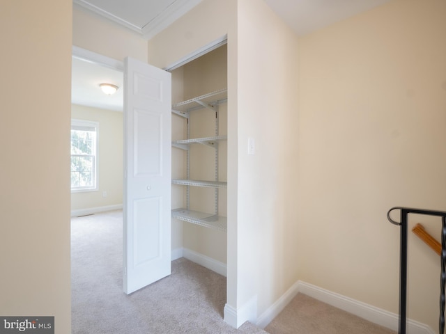 view of closet