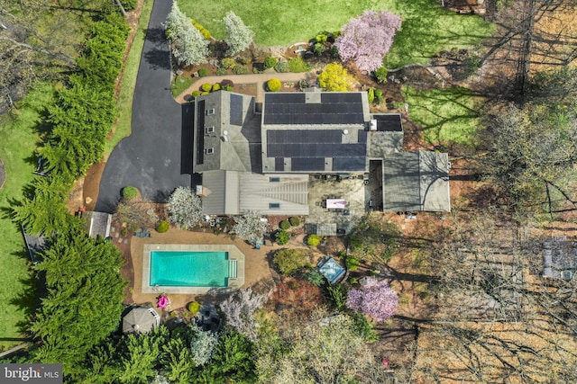 bird's eye view