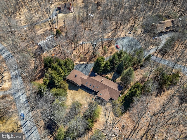 bird's eye view