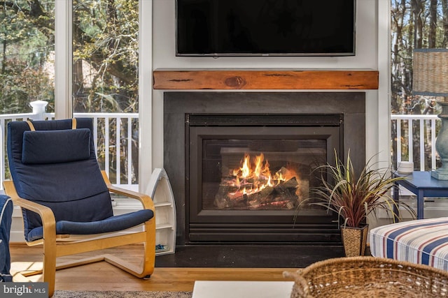 interior details featuring wood finished floors and a glass covered fireplace
