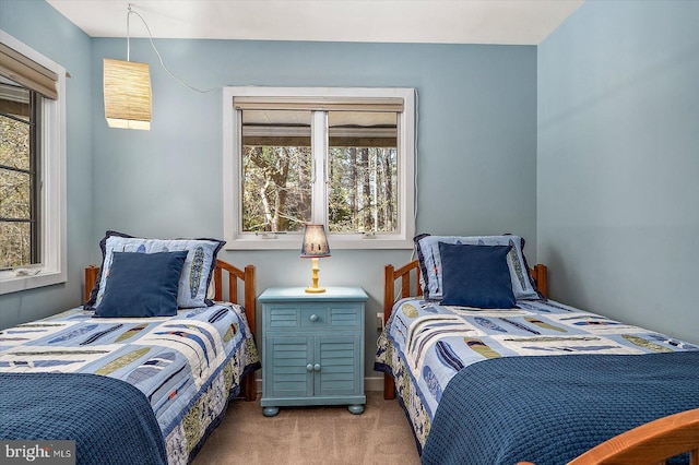 bedroom featuring carpet