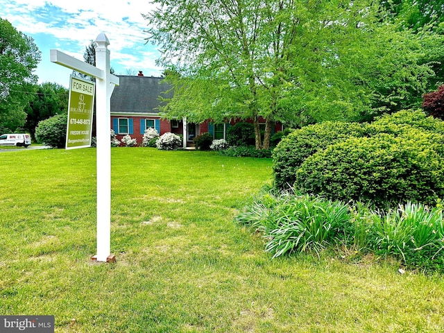 116 Main St, Townsend, DE 19734 - view of yard