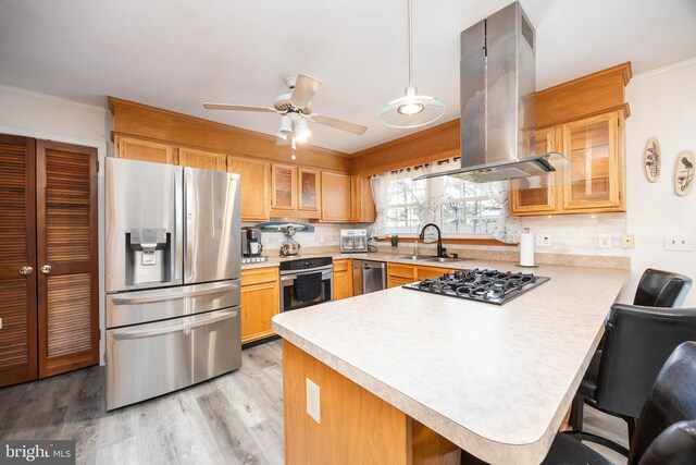 1036 S Schumaker Dr, Salisbury, MD 21804 - kitchen featuring stainless steel appliances, light countertops, island range hood, a sink, and a peninsula