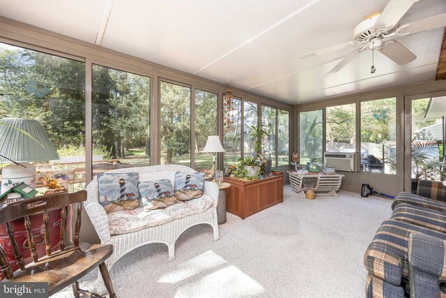 1036 S Schumaker Dr, Salisbury, MD 21804 - sunroom / solarium featuring outdoor lounge area, a healthy amount of sunlight, and a ceiling fan