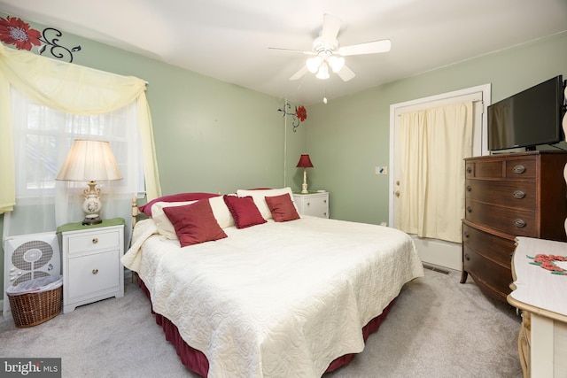 1036 S Schumaker Dr, Salisbury, MD 21804 - bedroom featuring a ceiling fan and light colored carpet