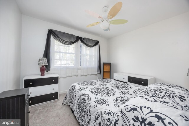 1036 S Schumaker Dr, Salisbury, MD 21804 - bedroom featuring baseboards, carpet floors, and ceiling fan