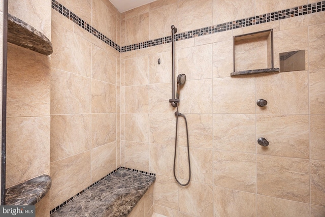 1036 S Schumaker Dr, Salisbury, MD 21804 - bathroom with a tile shower